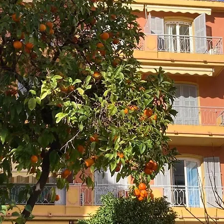 Proche Et Commerces Apartment