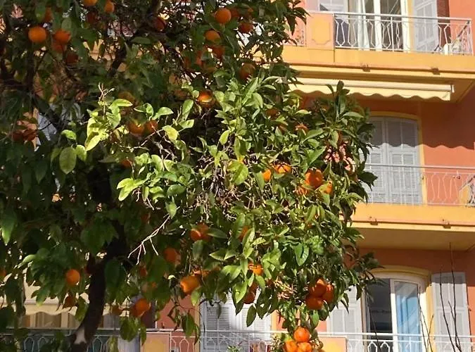 Proche Et Commerces 아파트